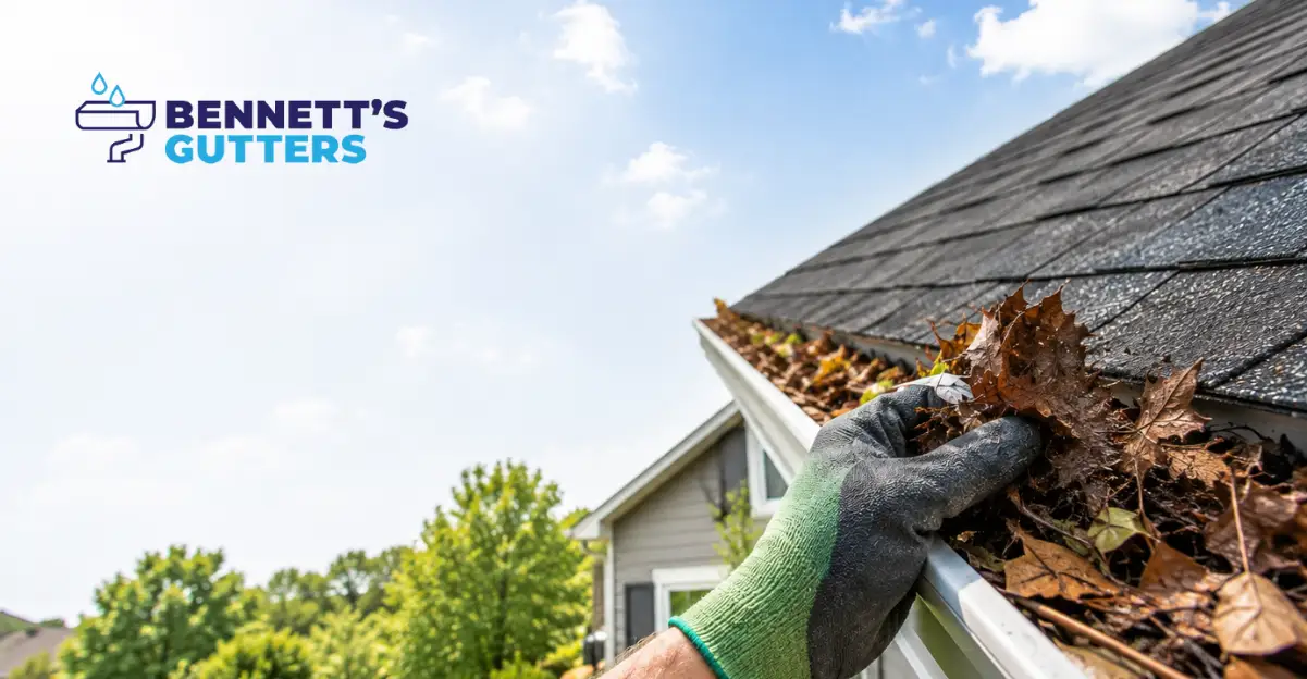 How Often Should You Clean Gutters and Why It’s Important 